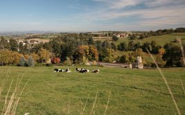 Ferme de Monnichard