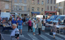 Brocante professionnelle