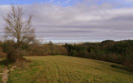 Circuit "Le sentier des Renardières"