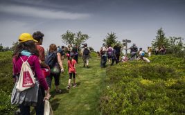 Activités pleine nature avec Freddy Gioia