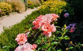 Balade Visitez Chamboeuf / Village Jardin