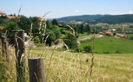 Marche des hameaux