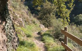 Parcourir les sentiers de Chagnon - Le Regard