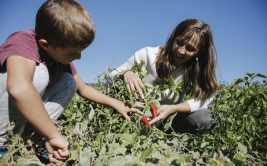 Ateliers nature avec L'Echo-lieu
