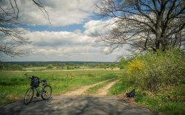 Sortie découverte : Balade à vélo jusqu'à l'Etang David