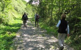 Balade exploration urbaine autour de la colline de la Cotonne