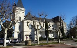 Visite guidée de Saint-Martin-La-Plaine : ses Châteaux et ses Sentiers