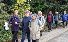 Marche pour la recherche des maladies psychiques