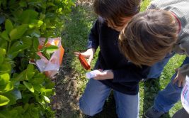2023 - Bougez dans le Pilat - Initiation à la course d’orientation en famille (à partir de 6 ans) - Le Bessat