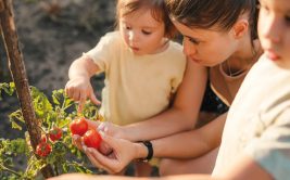 Exposition sur la petite enfance Premiers pas vers l'équilibre