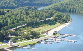 Découverte des plantes sauvages à St Victor sur Loire
