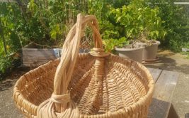 Vannerie avec des plantes sauvages : réaliser votre panier sur arceaux