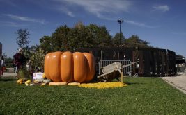 Courge et saveurs d’automne