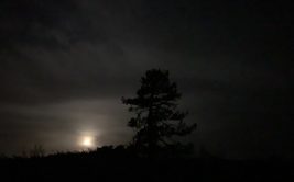 Exploration nocturne - Le creux de la nuit