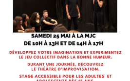Stage théâtre d'improvisation par la Ligue d'improvisation de Saint Etienne