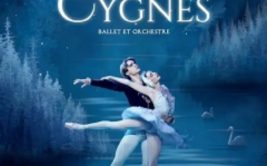 Le Lac des Cygnes