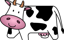 Visite guidée : Du lait à la tartine de beurre