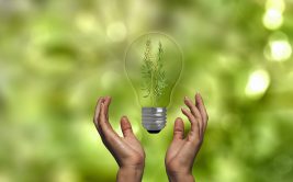 Tatou Juste - Salon de la transition écologique