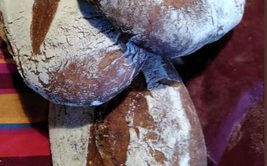 Atelier de l'écho-lieu "Pain au levain"
