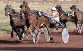 Visite Au cœur des courses hippiques dimanche 12 octobre