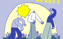 Improvisation de danse - Les Grandes Herbes