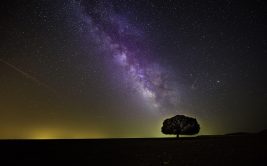 Conférence - Qu’observons nous dans le ciel ?