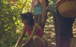 Journée Bien-Etre en nature  Plantes