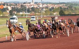 Courses hippiques