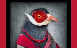 Concours photo 2025-Le monde animal