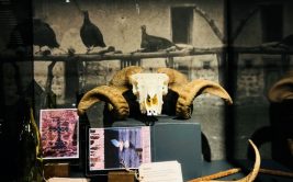 Exposition - Légendes foréziennes