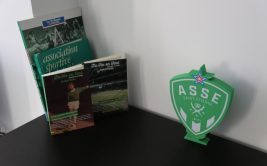 Studio cosy "Allez les verts"