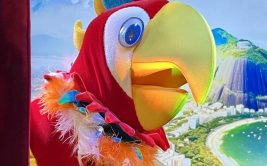 Spectacle - Guignol et Rio le majestueux perroquet
