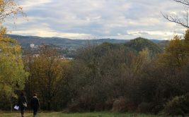 Balade bioacoustique au parc de Montaud