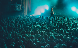 Concert - Chaton