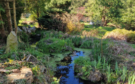 Fête de la Nature - Inauguration du Jardin Danthony
