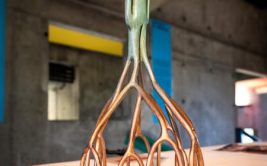 Découverte de l'exposition et temps d'échange