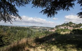 Balade commentée du parc Pinelon - Rendez-vous aux jardins