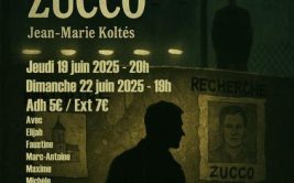 Théâtre - Robert Zucco