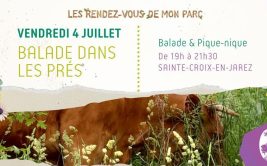 Les Rendez-vous de mon Parc "Balade dans les prés"