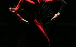 Spectacle jeune public - Momentos