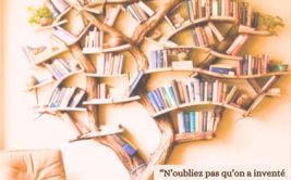 Histoires à lire debout