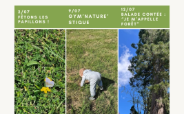 Les Ateliers des Babets - Gym'nature'stique