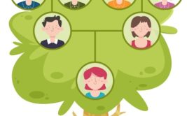 Généalogie : l'histoire de votre famille