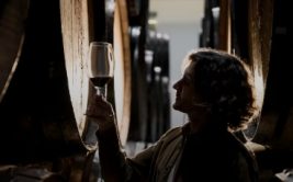 Oenologie : Vignoble de Chablis et Grand Auxerrois