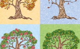Les saisons, énergie des cycles naturels : l'Automne