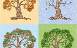Les saisons, énergie des cycles naturels : Printemps