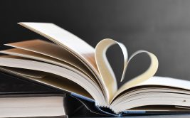 Foire aux livres, CD, DVD et Vinyles