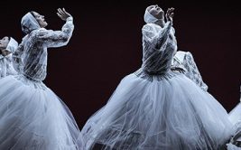 Danse - La belle au bois dormant