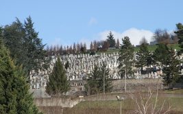 Journées européennes du patrimoine - Visite guidée du cimetière de Firminy