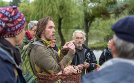 Déguster et découvrir les plantes sauvages à la Fabuleuse cantine
